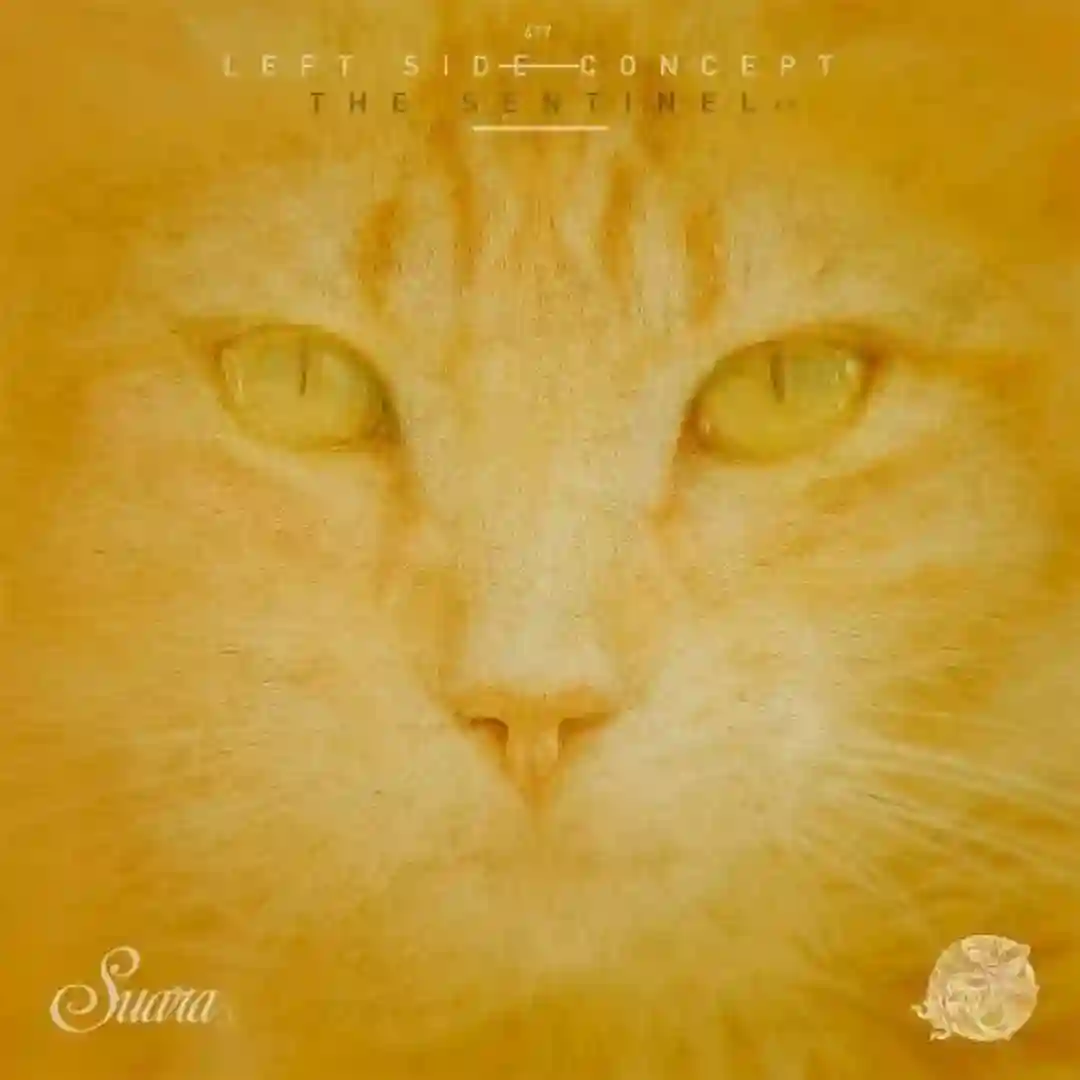 Short History About Desires And Other Strangeness (Original Mix) cover