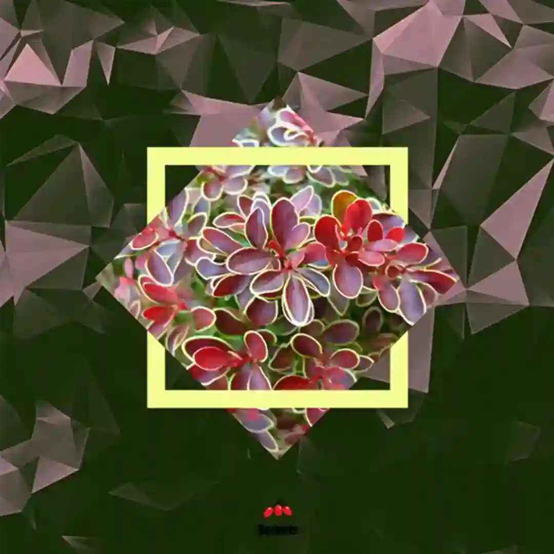 Mi Boat (Leonardi Remix) cover