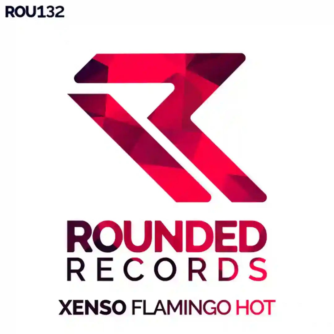 Flamingo Hot cover