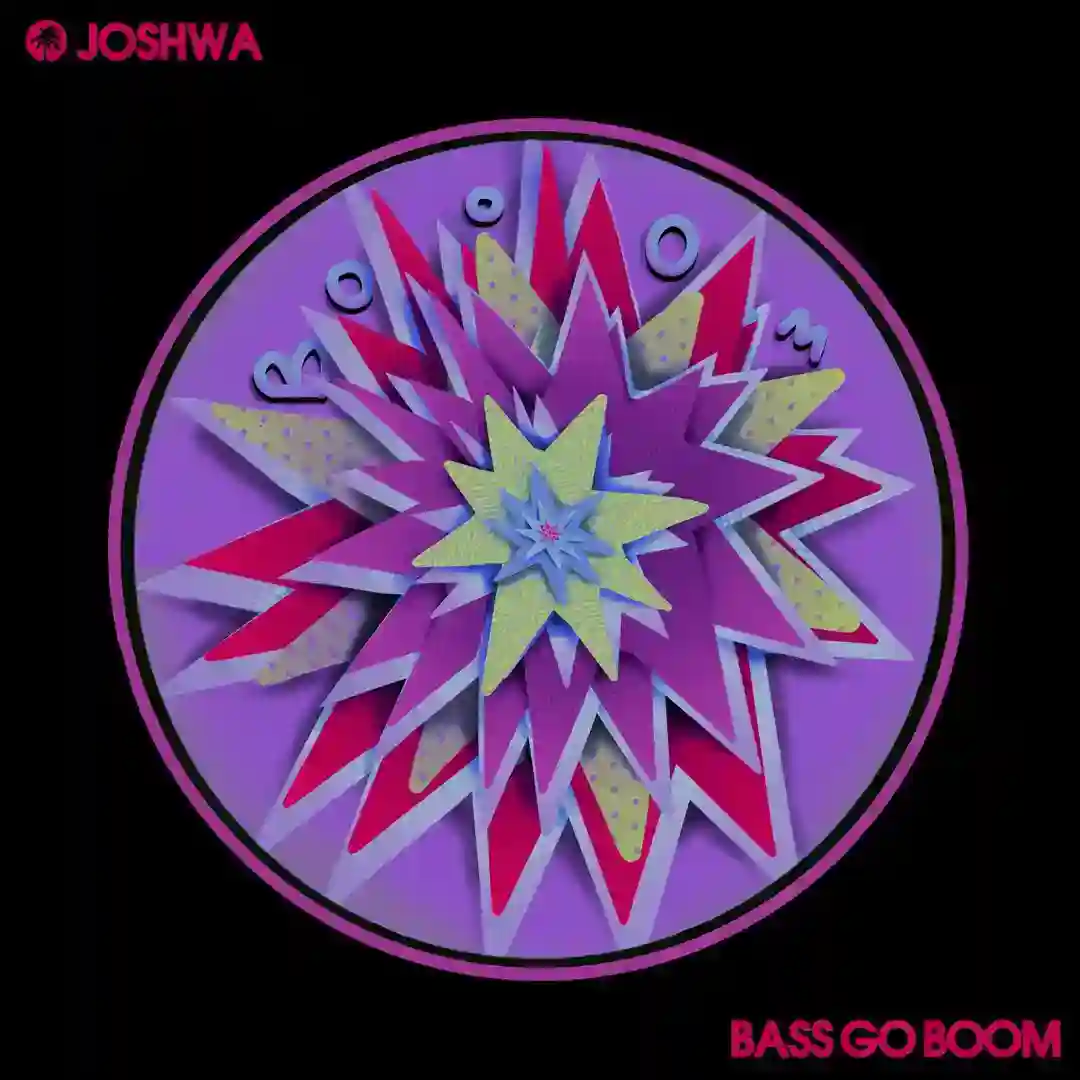Bass Go Boom (Original Mix) cover