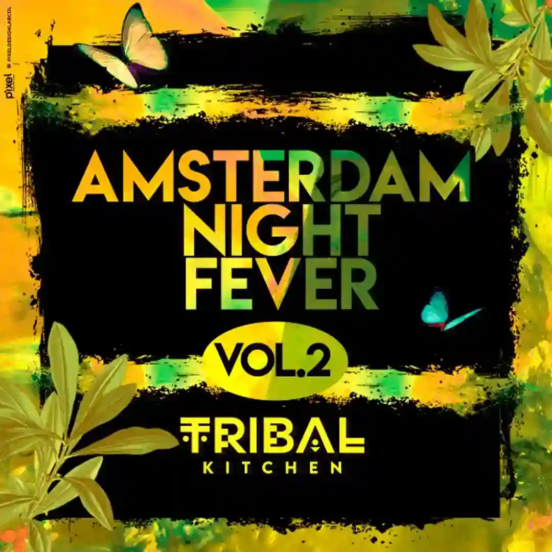 Amsterdam Night Fever (Vol. 2) cover