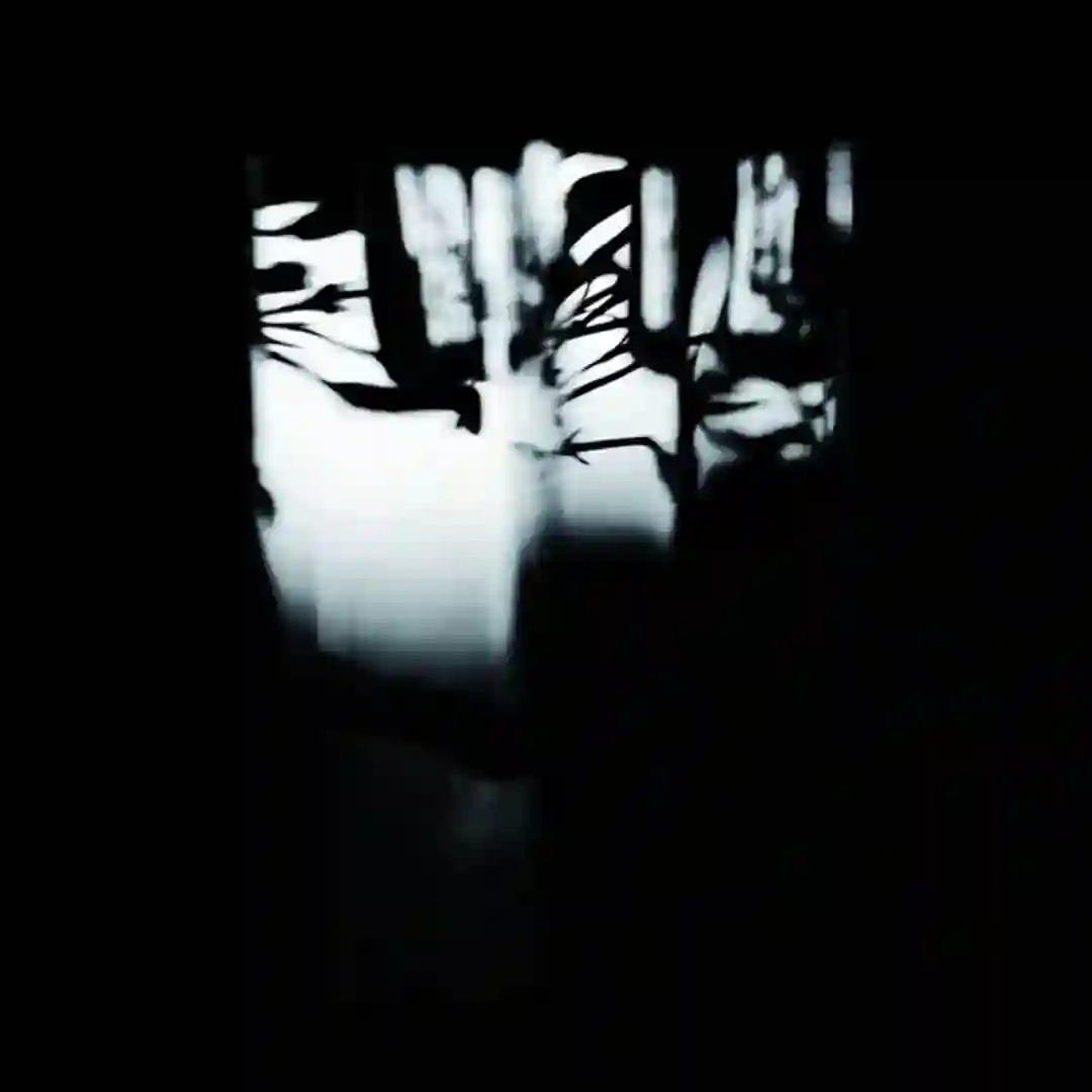 Oltremare cover