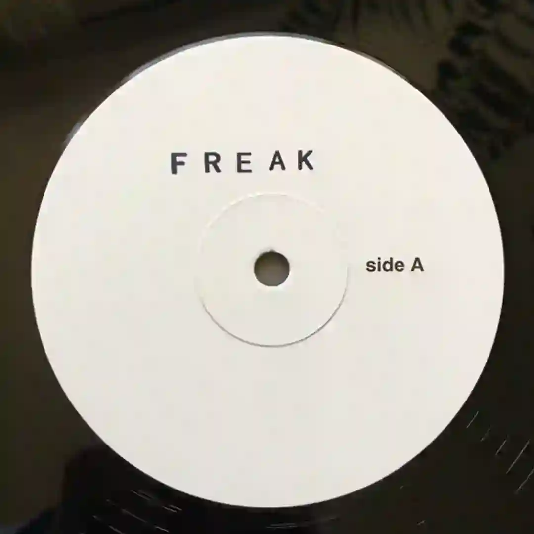 Freak Dub (Original Mix) cover