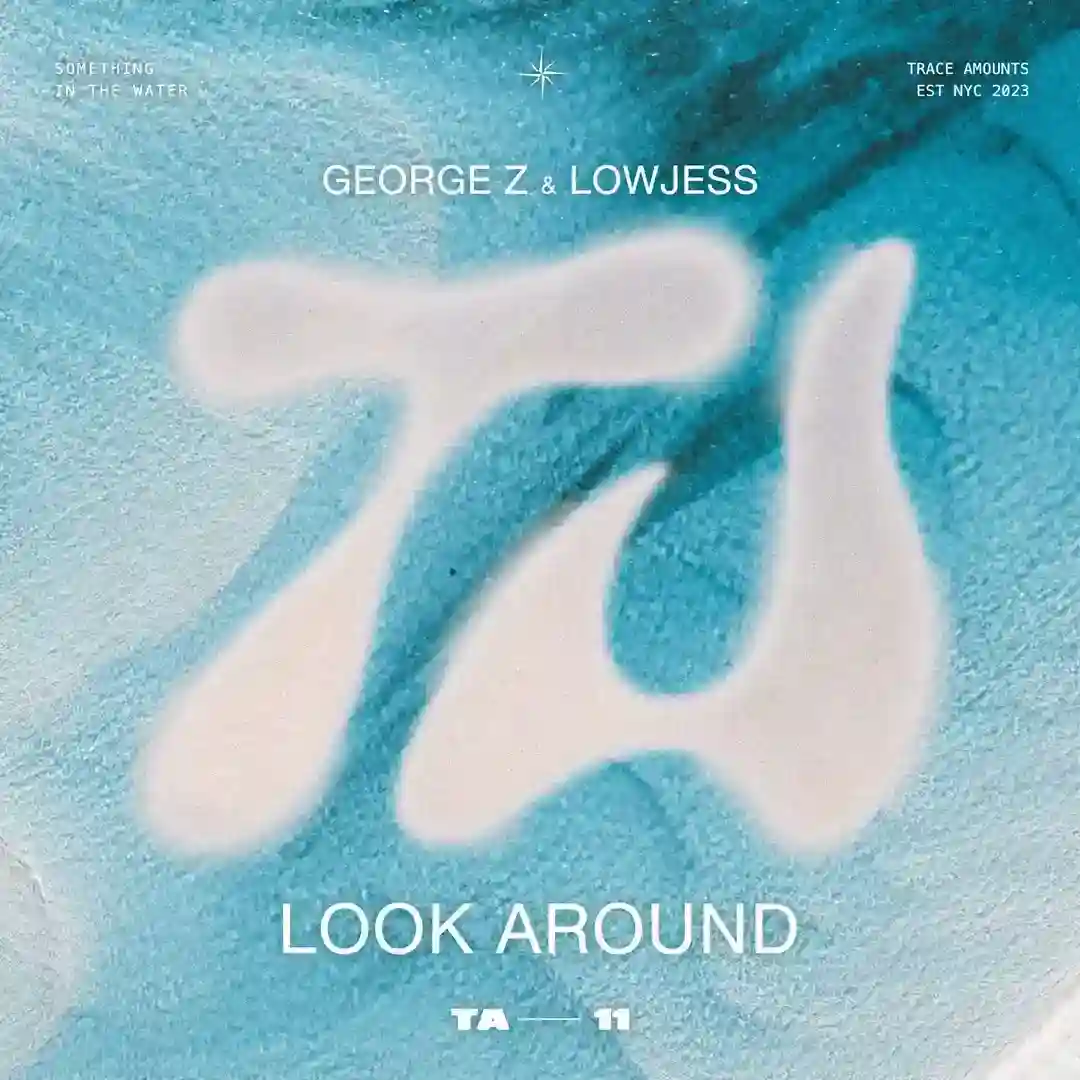 Look Around (Extended Mix) cover