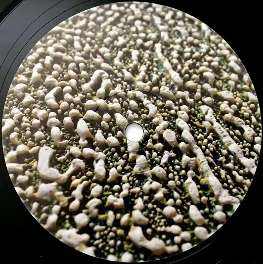 Flor De Luna cover