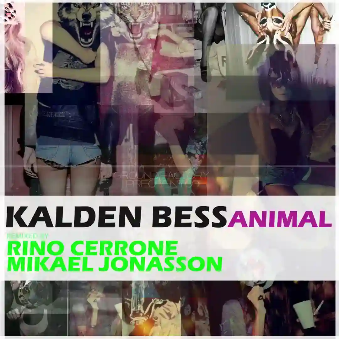 Animal Remixed cover
