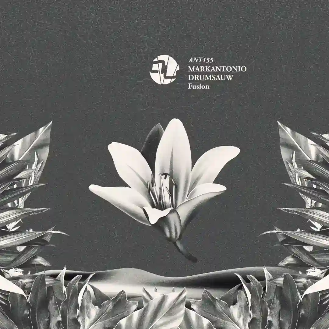 Chromatic (Original Mix) cover
