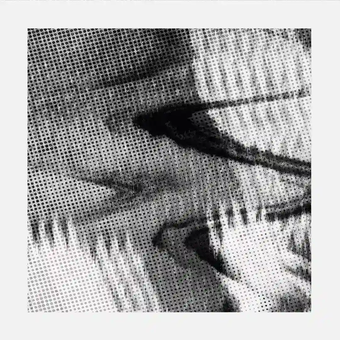 Moderat cover
