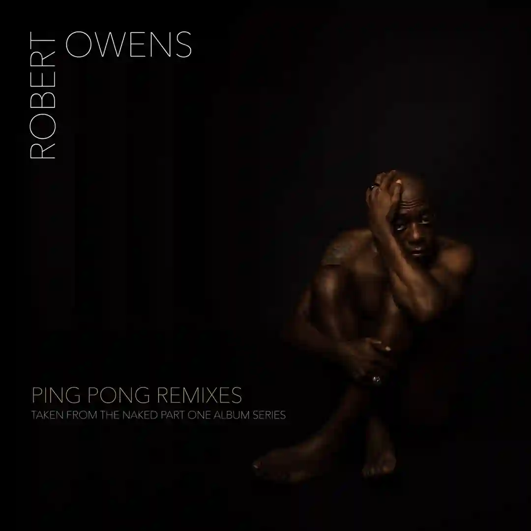 Ping Pong feat. Bernard Badie (MC Remix) cover