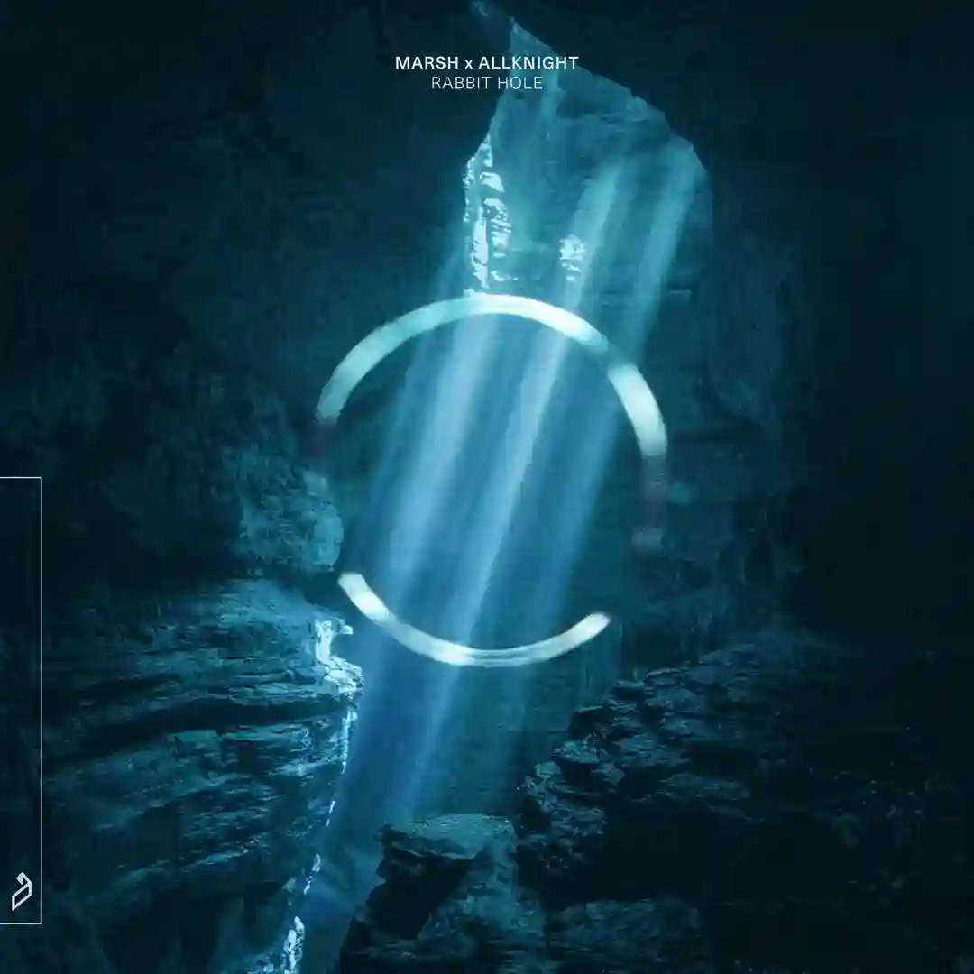 Rabbit Hole cover