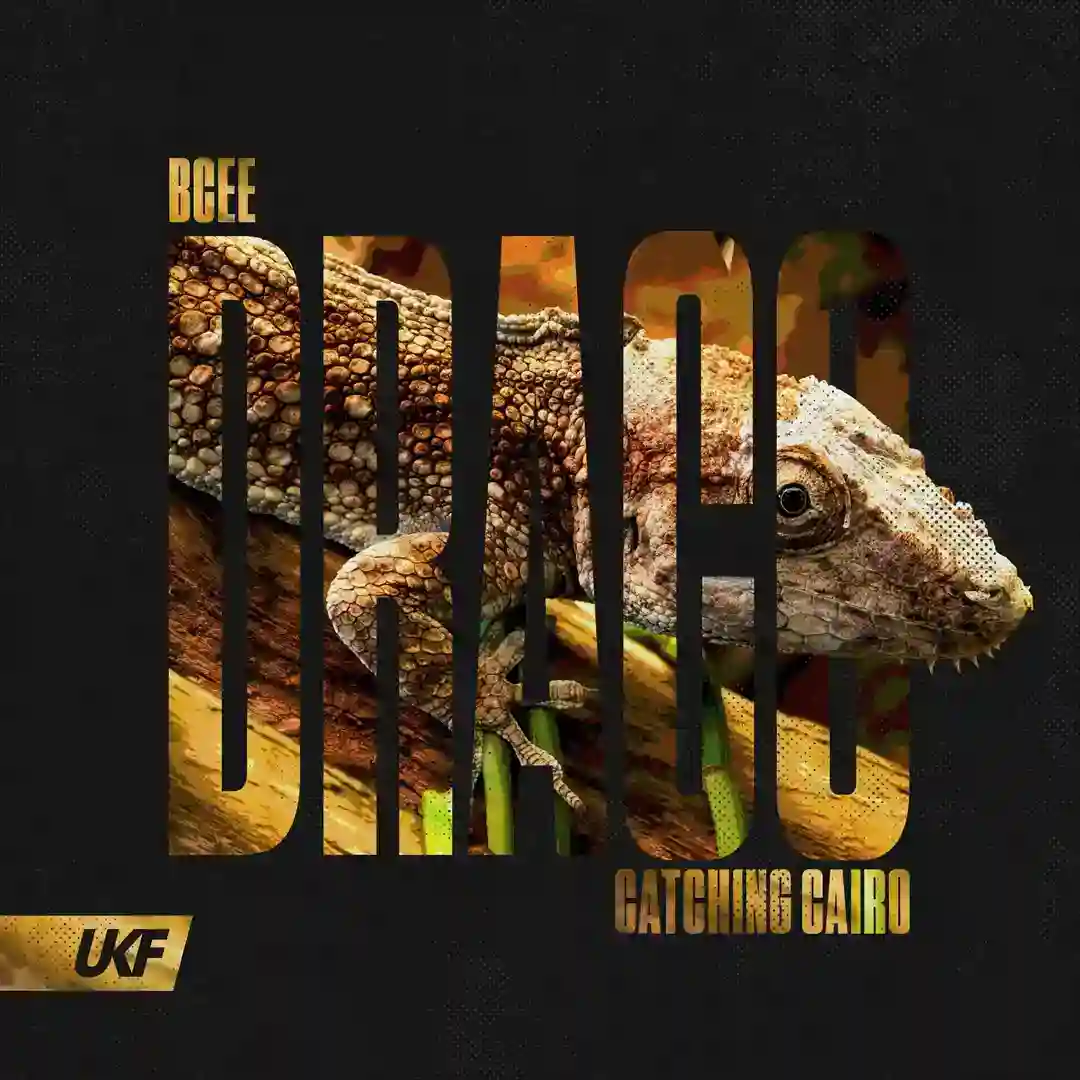 Draco cover
