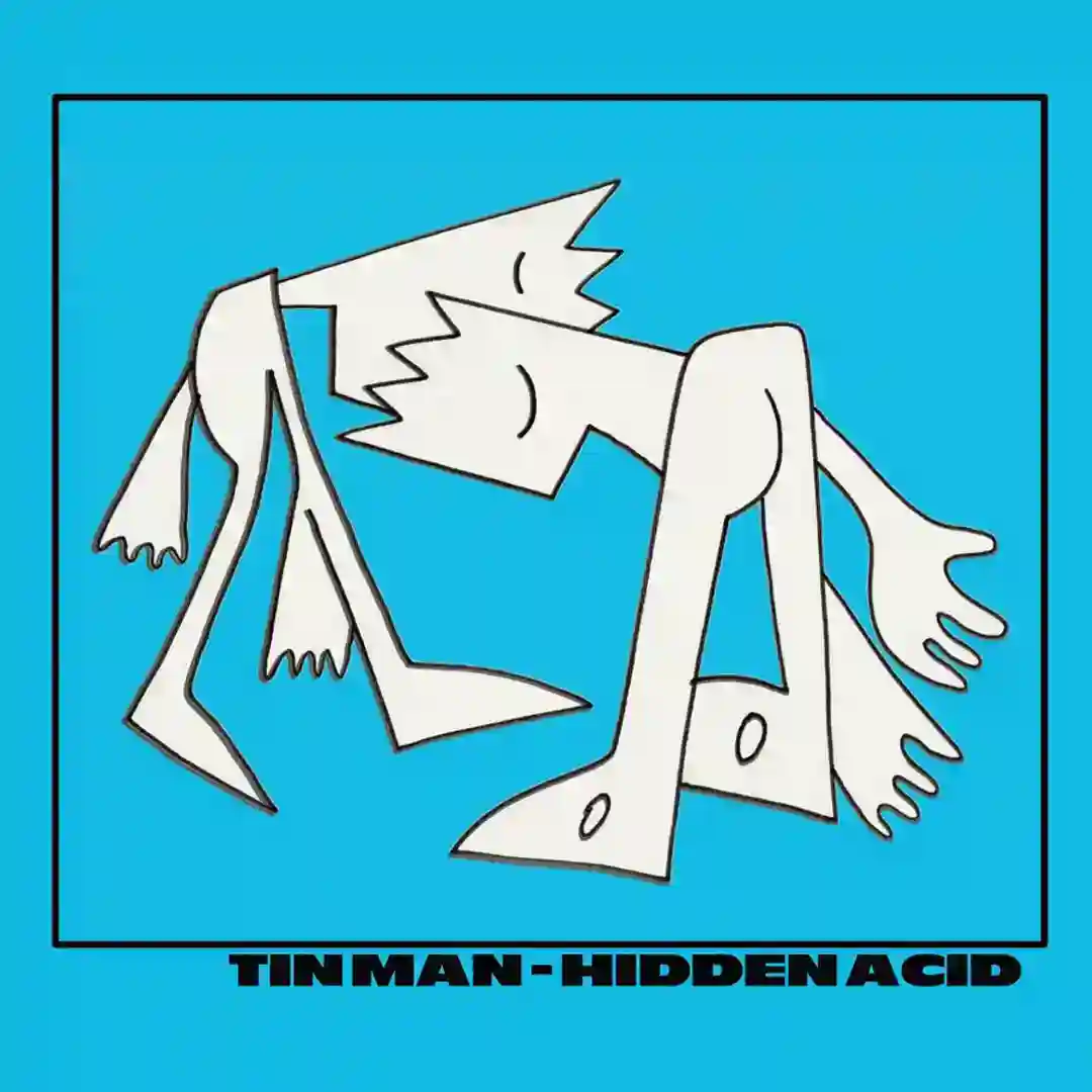 Hidden Acid cover