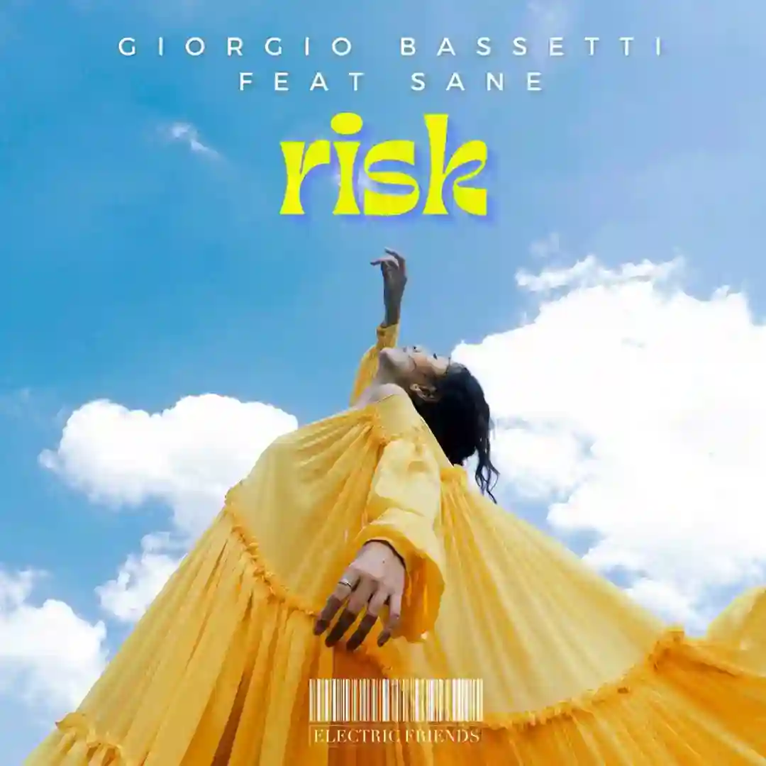 Risk (Original Mix) cover