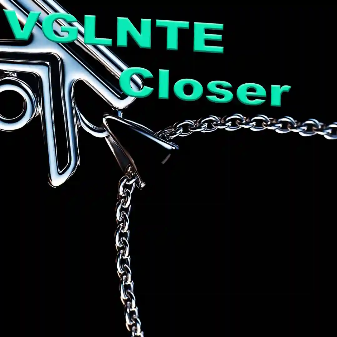 Closer cover