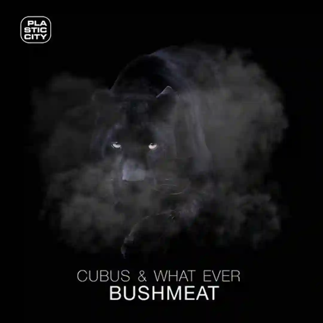 Bushmeat (Original Mix) cover