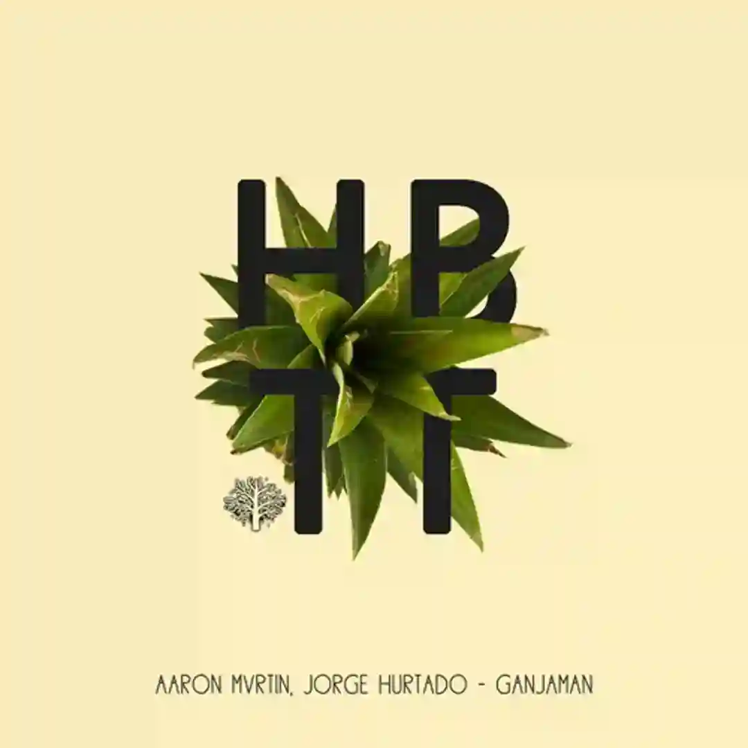 Ganjaman (Original Mix) cover
