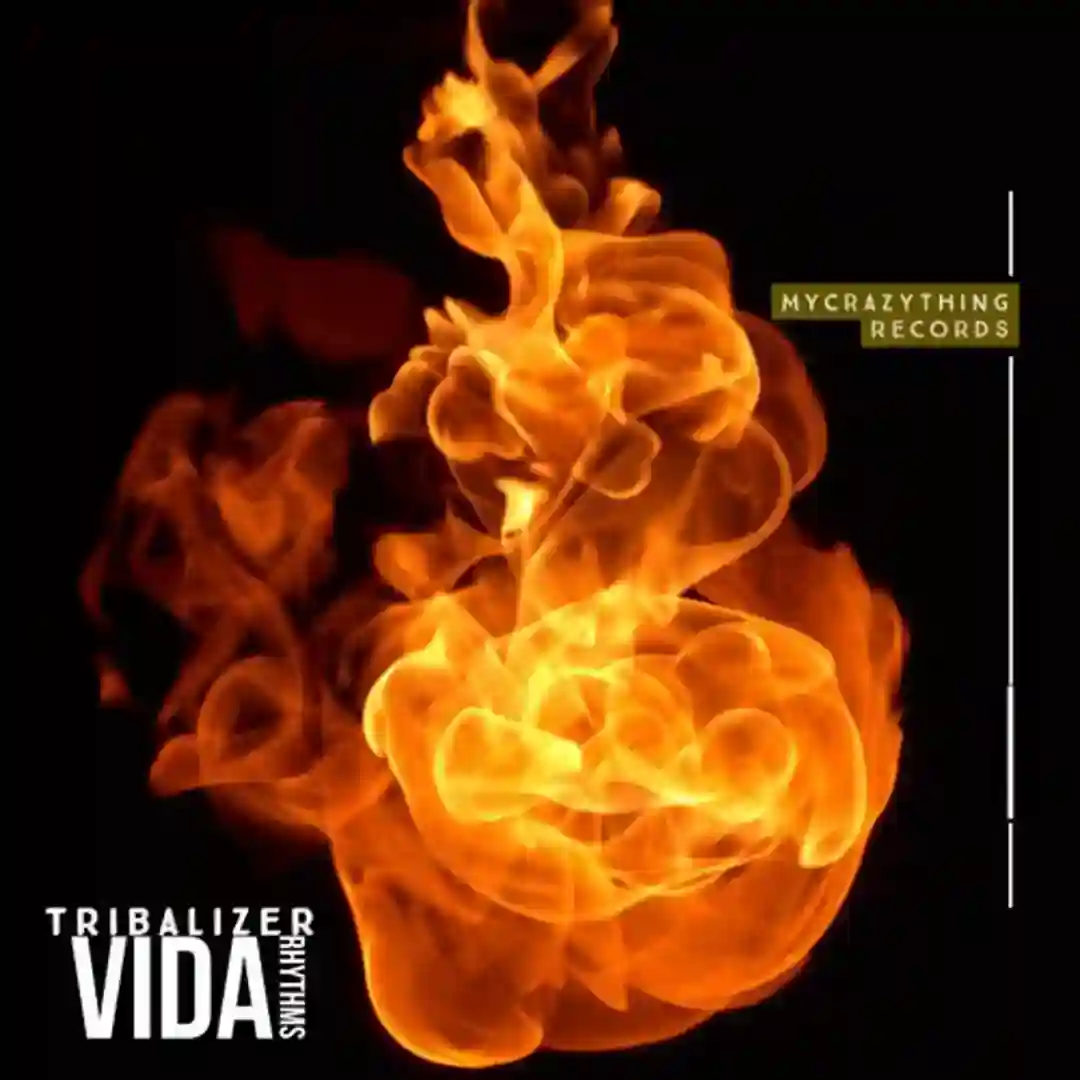 I Got The Echo (Original Mix) cover
