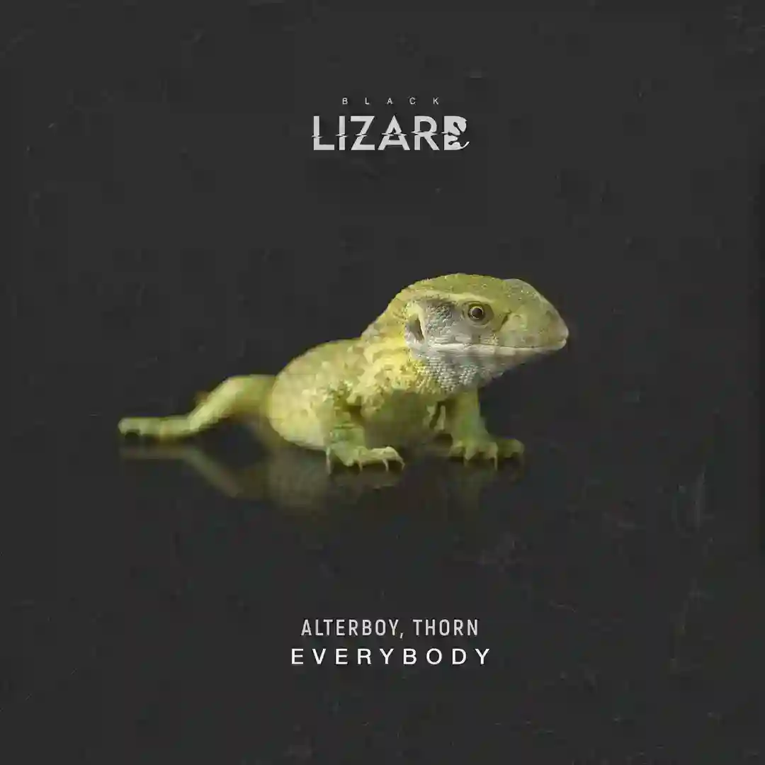 Everybody cover