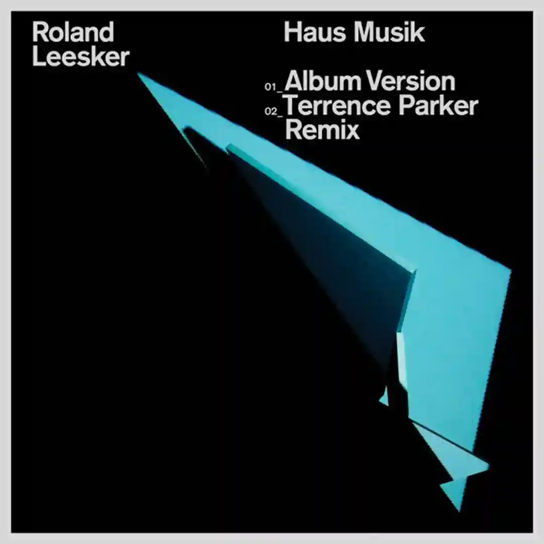Haus Musik (Original Mix) cover