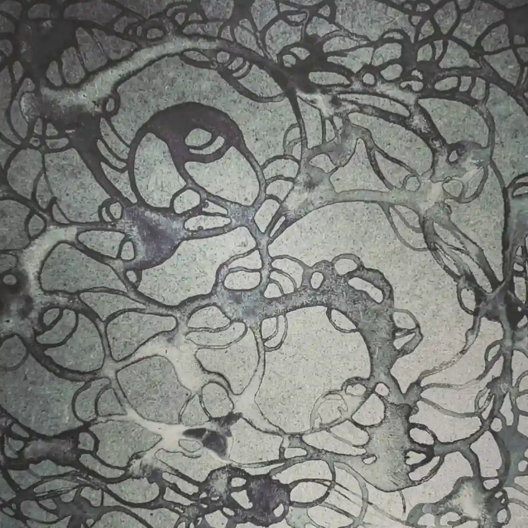 Elyndra (Original Mix) cover