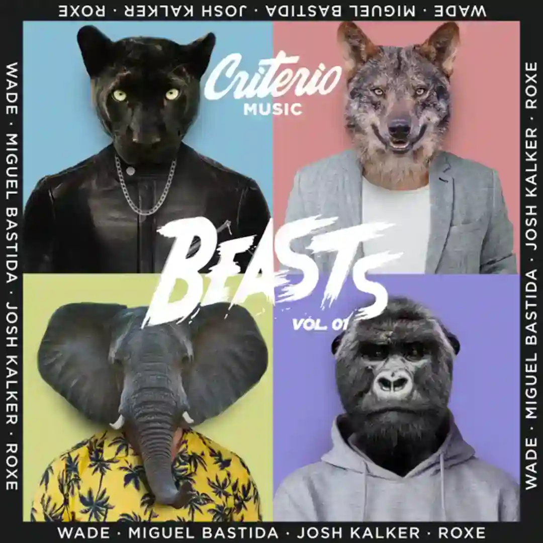 Valkiries (Original Mix) cover