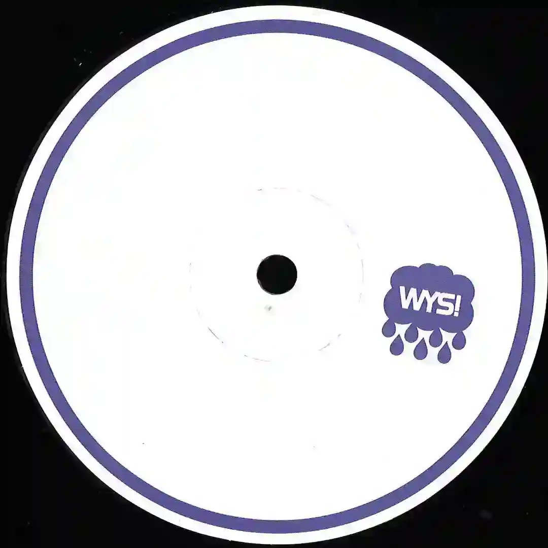 WYS! Limited #03 cover