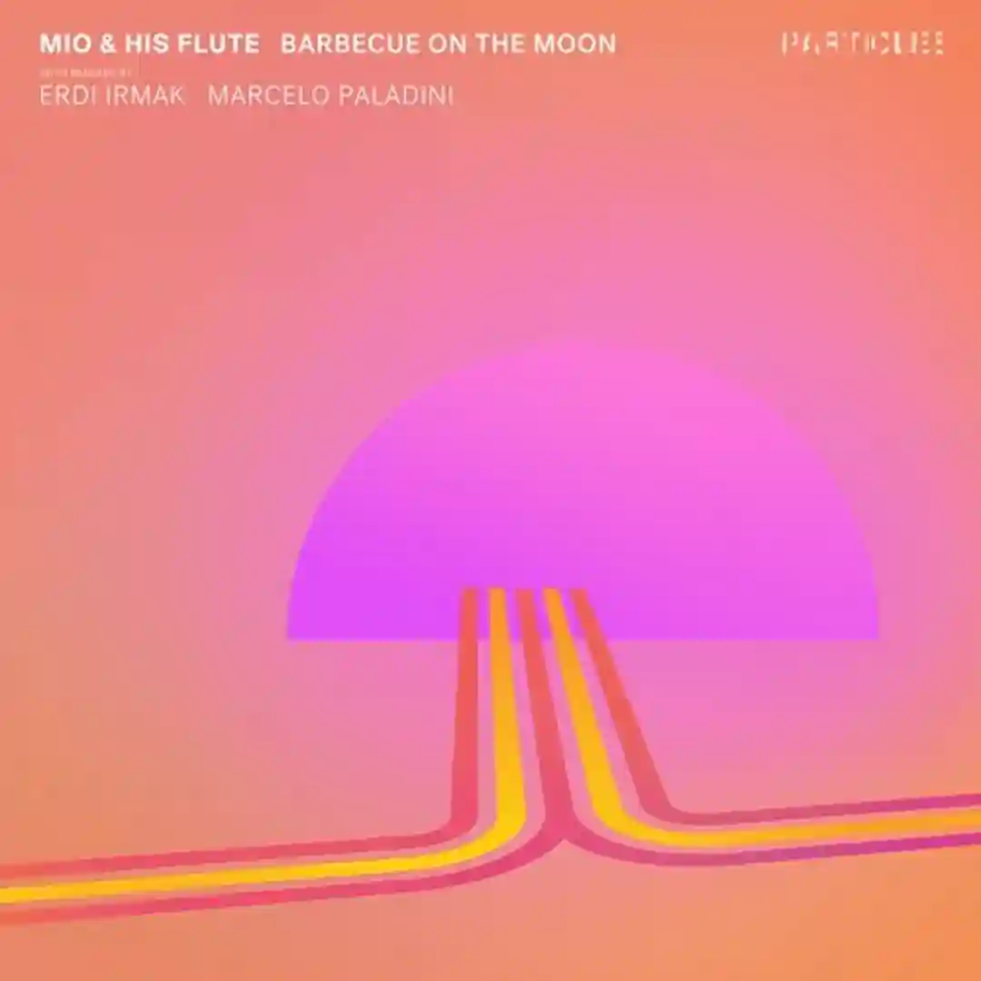 Barbecue on the Moon (Original Mix) cover