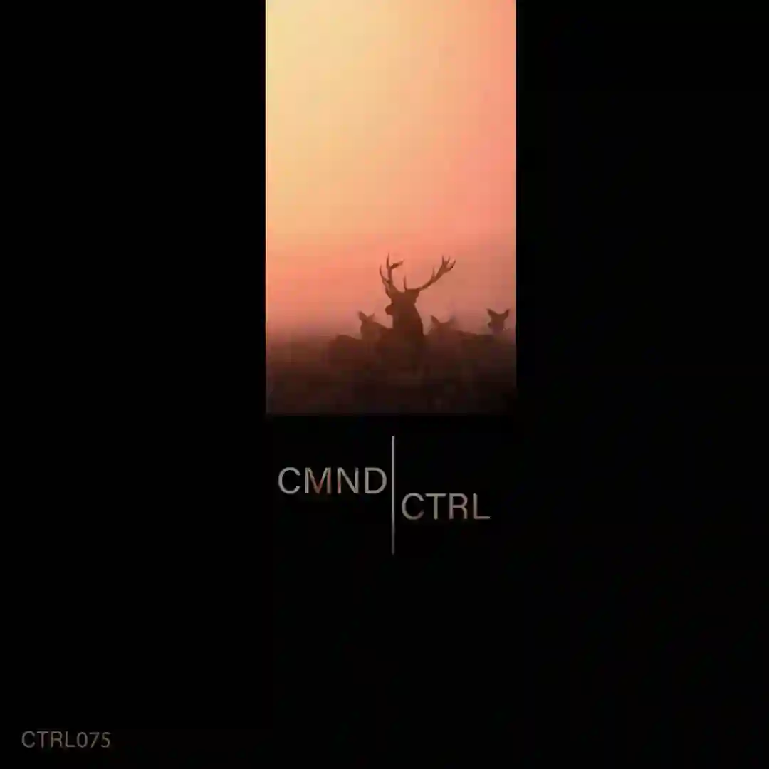 Eukodal (Original Mix) cover