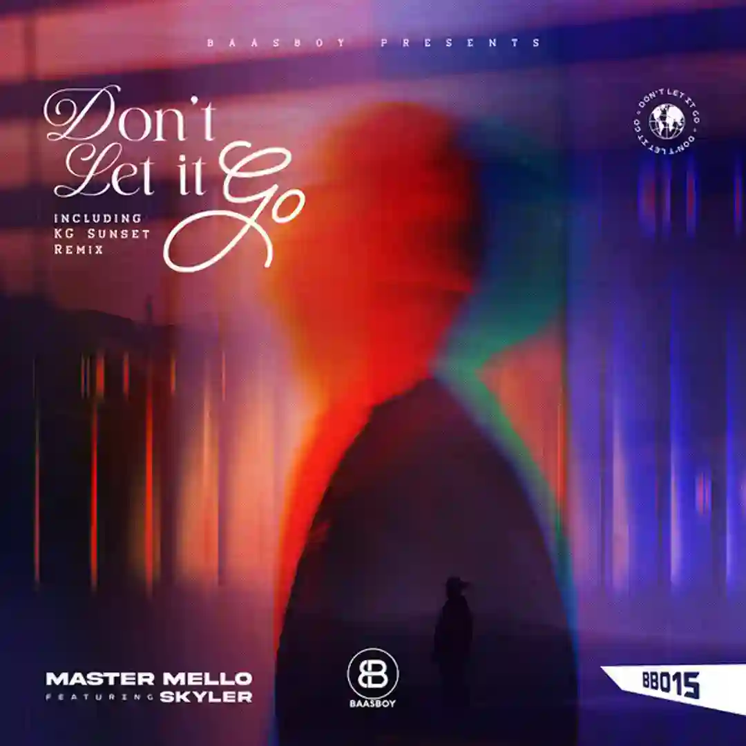 Don't Let It Go Remixes cover