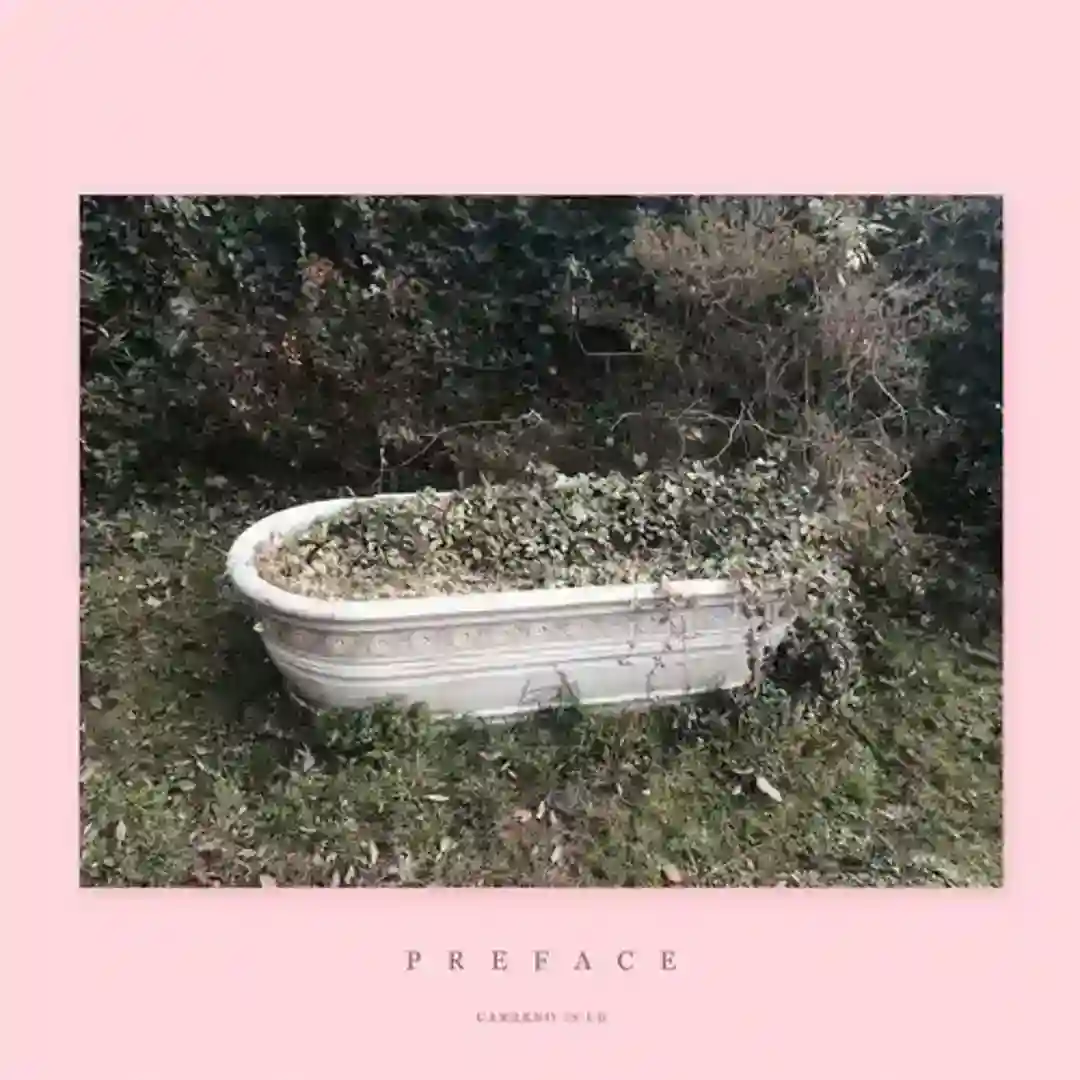 Integration (Original Mix) cover