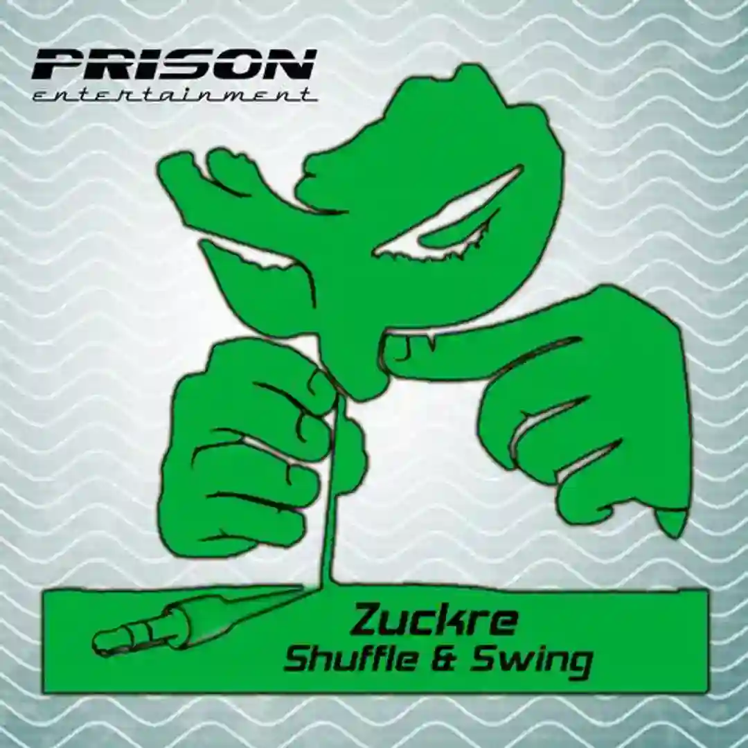 Shuffle & Swing cover