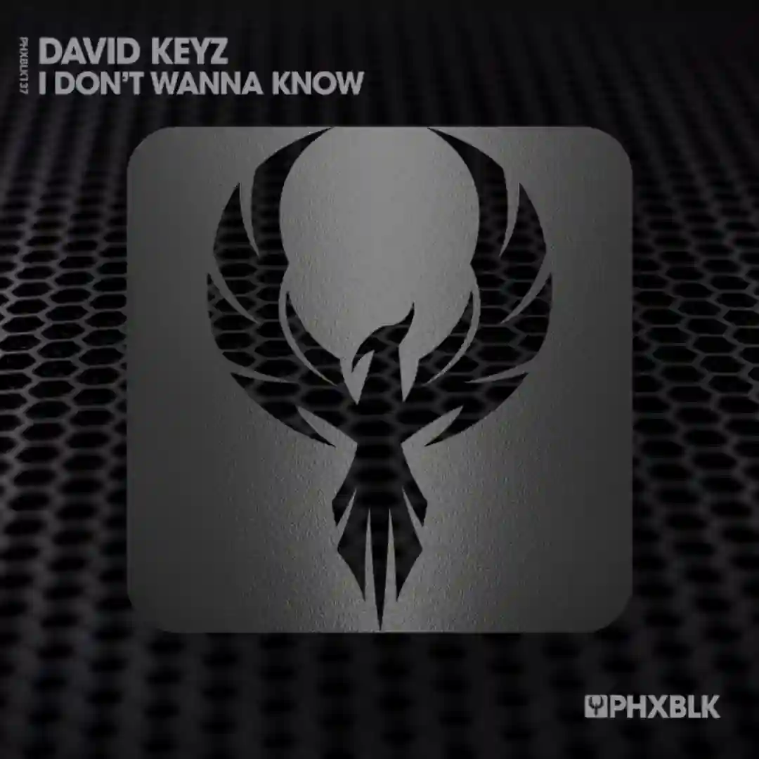 I Don't Wanna Know (Extended Mix) cover