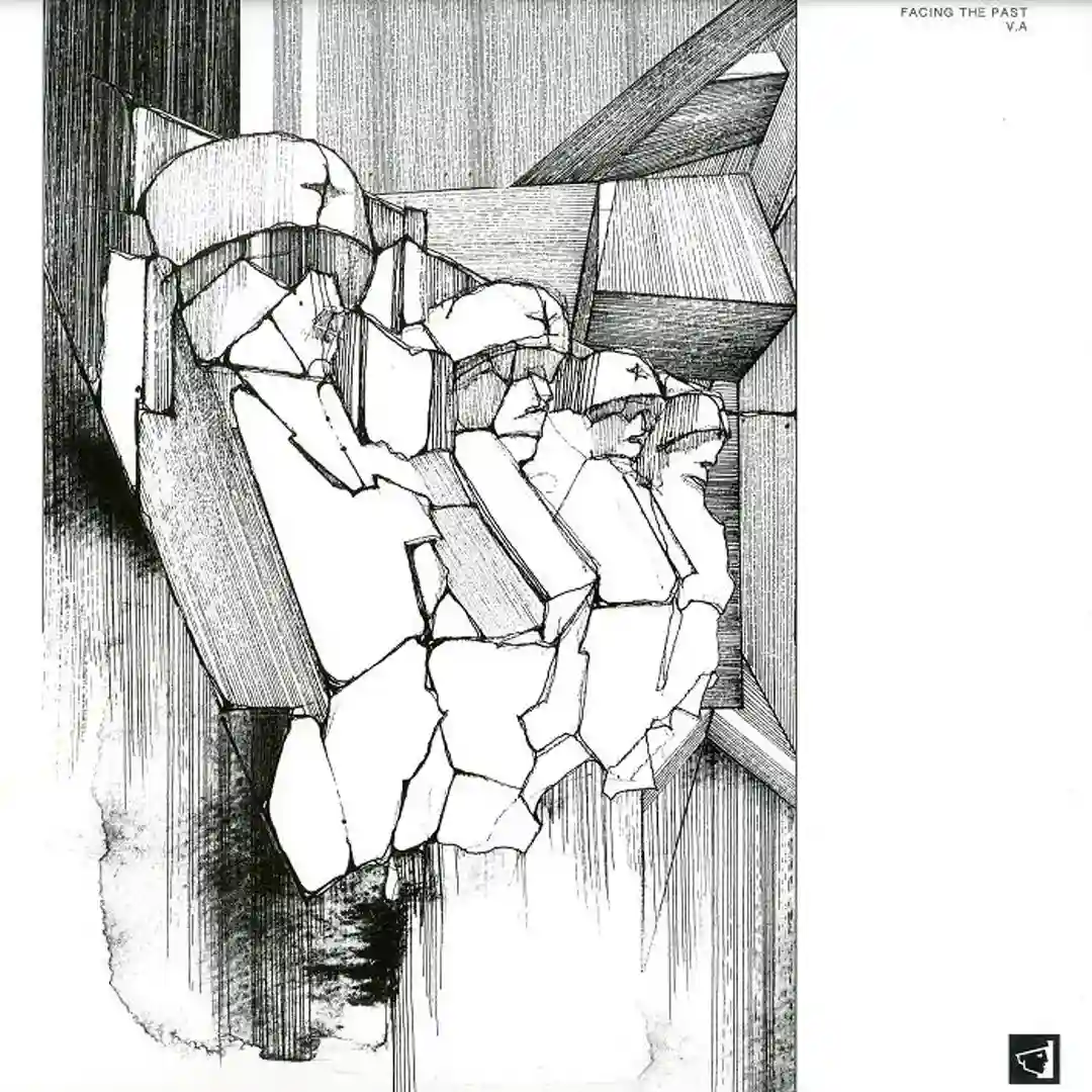 Facing The Past cover