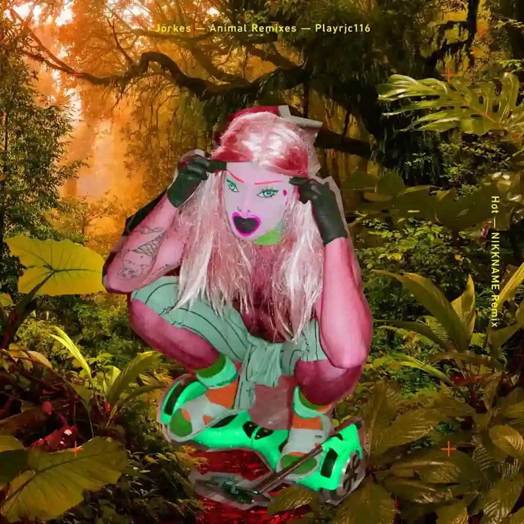 Hot (NIKKNAME Remix) cover
