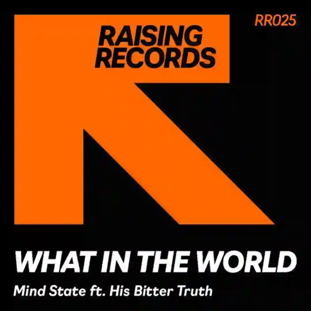 What In The World (Rob Redford 92 Club Dub) cover