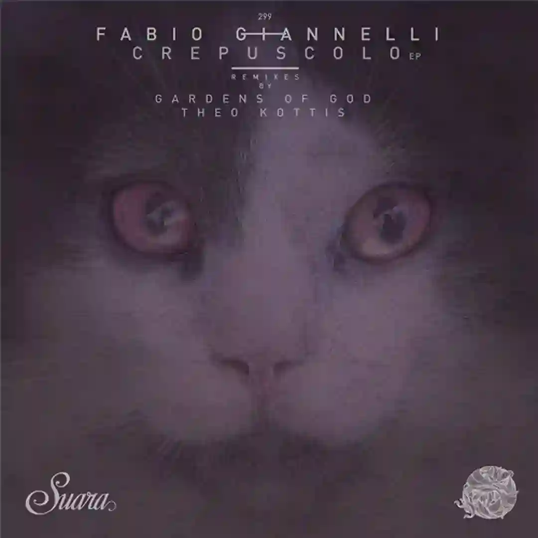 Accordition (Theo Kottis Remix) cover