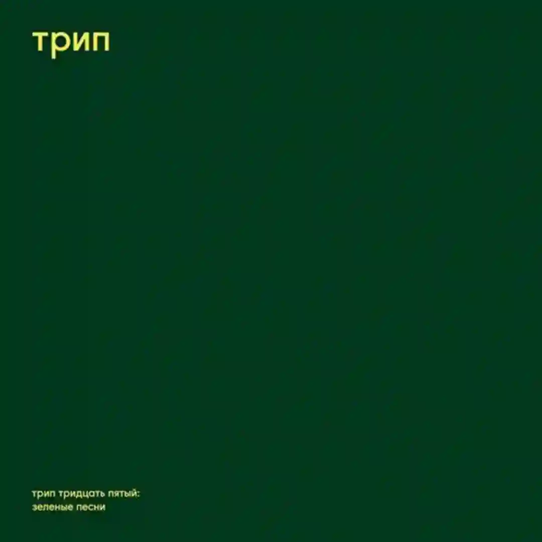 berdea cover