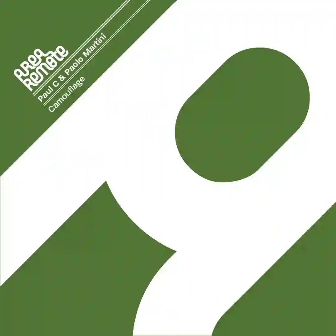 Camouflage cover