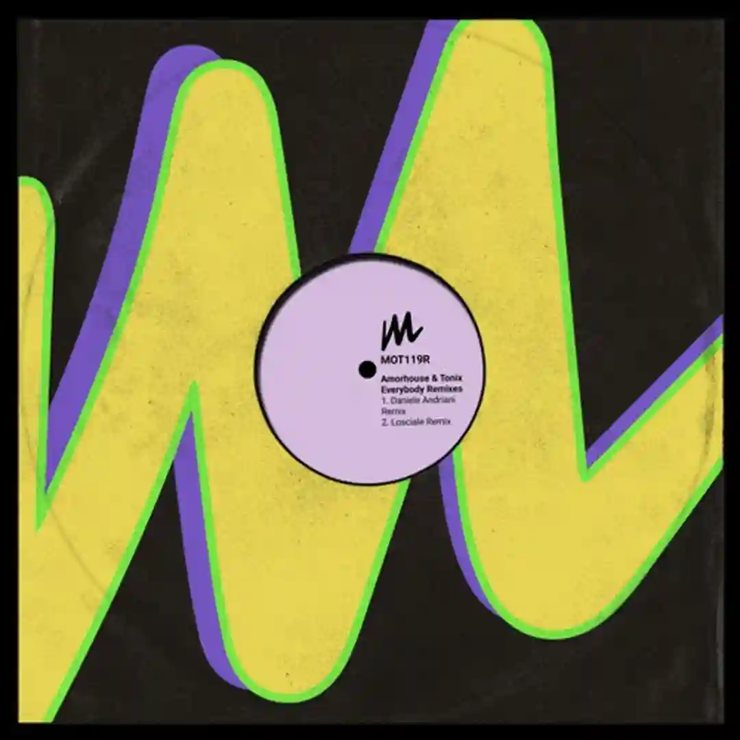 Everybody Remixes cover
