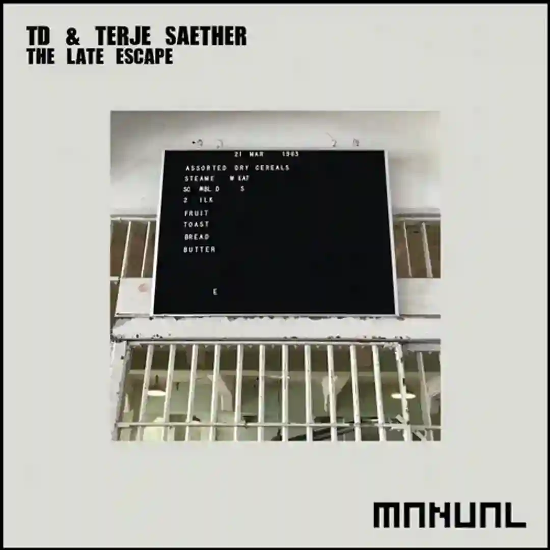 The Late Escape cover