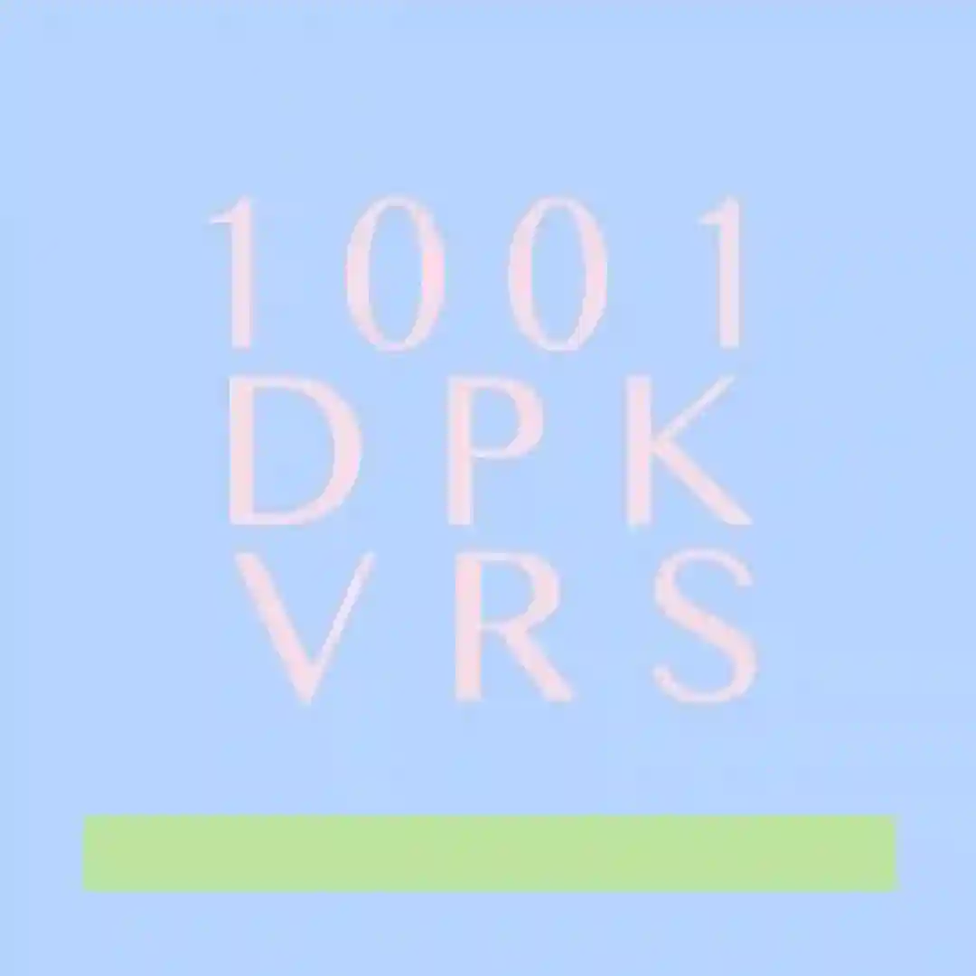 1001 cover