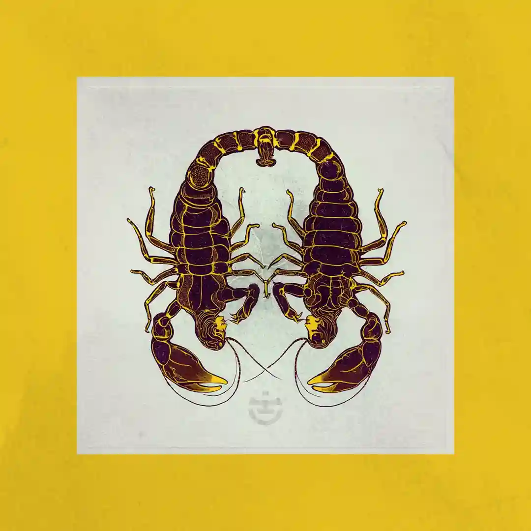 Poison (Several Definitions Remix) cover