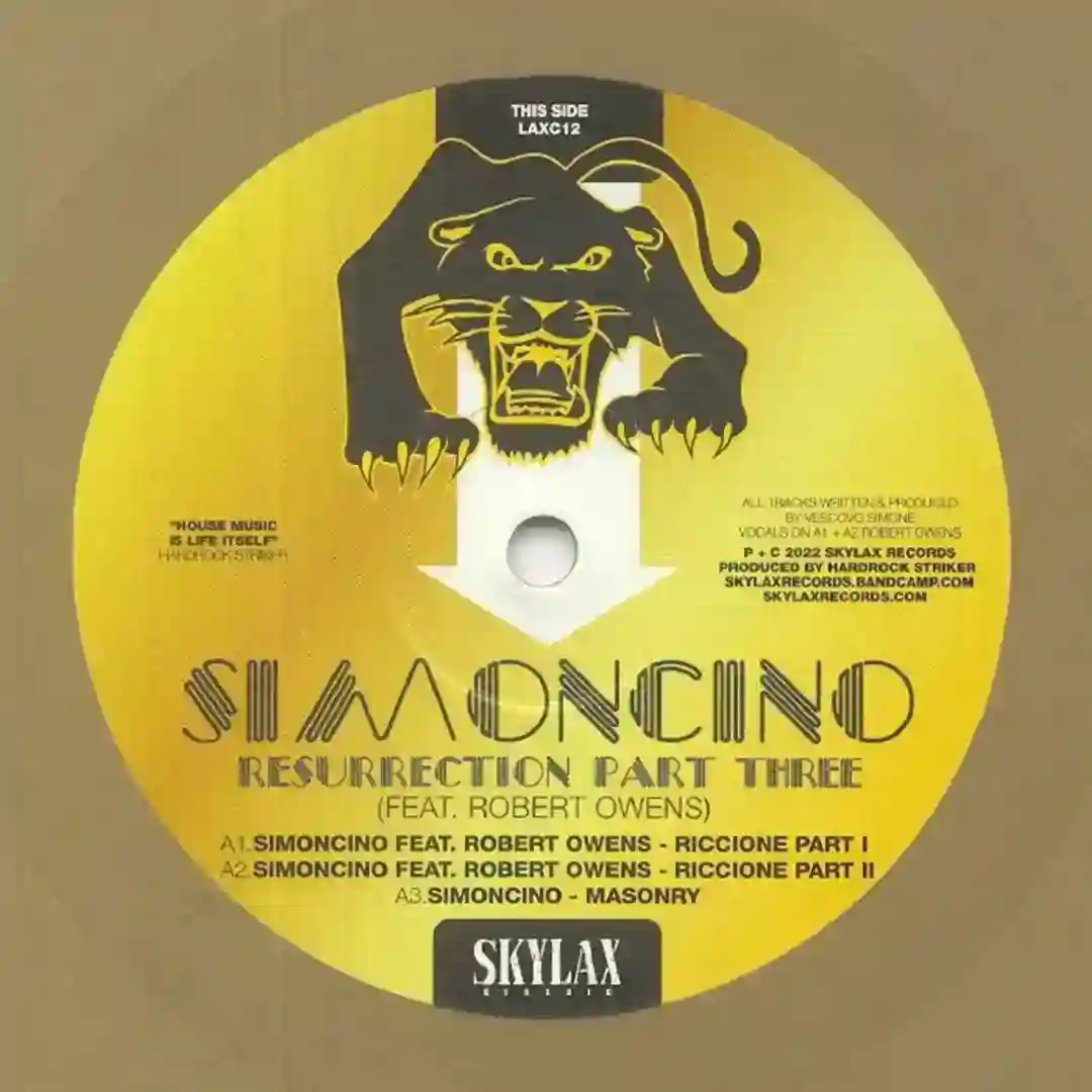Riccione (feat Robert Owens - part 2) cover