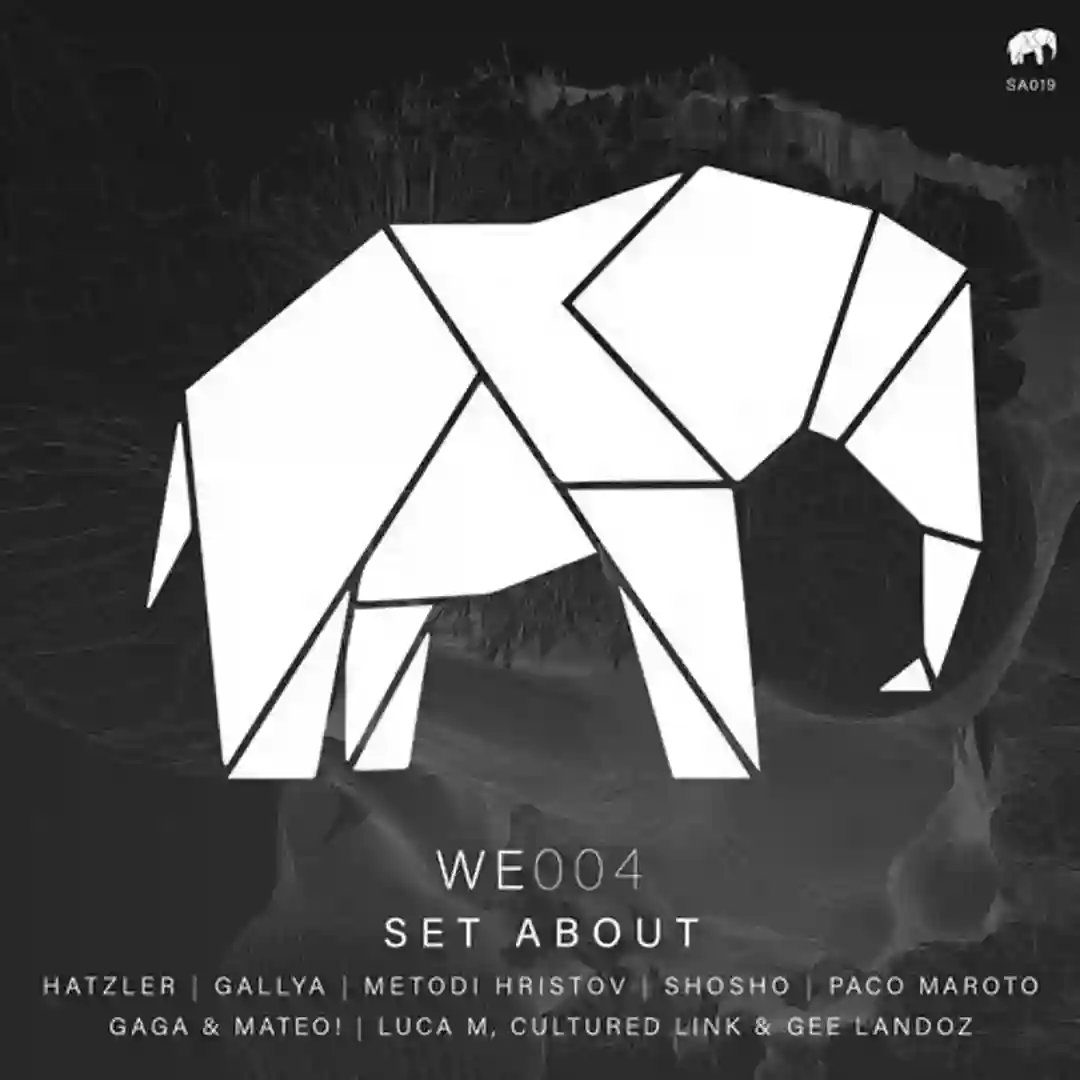 Curved (Original Mix) cover