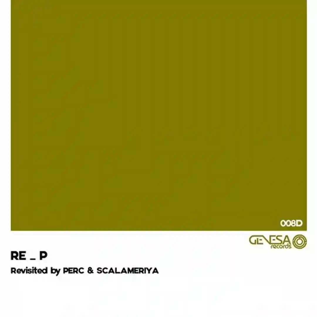 Symmetry Between Observers (Scalameriya Remix) cover