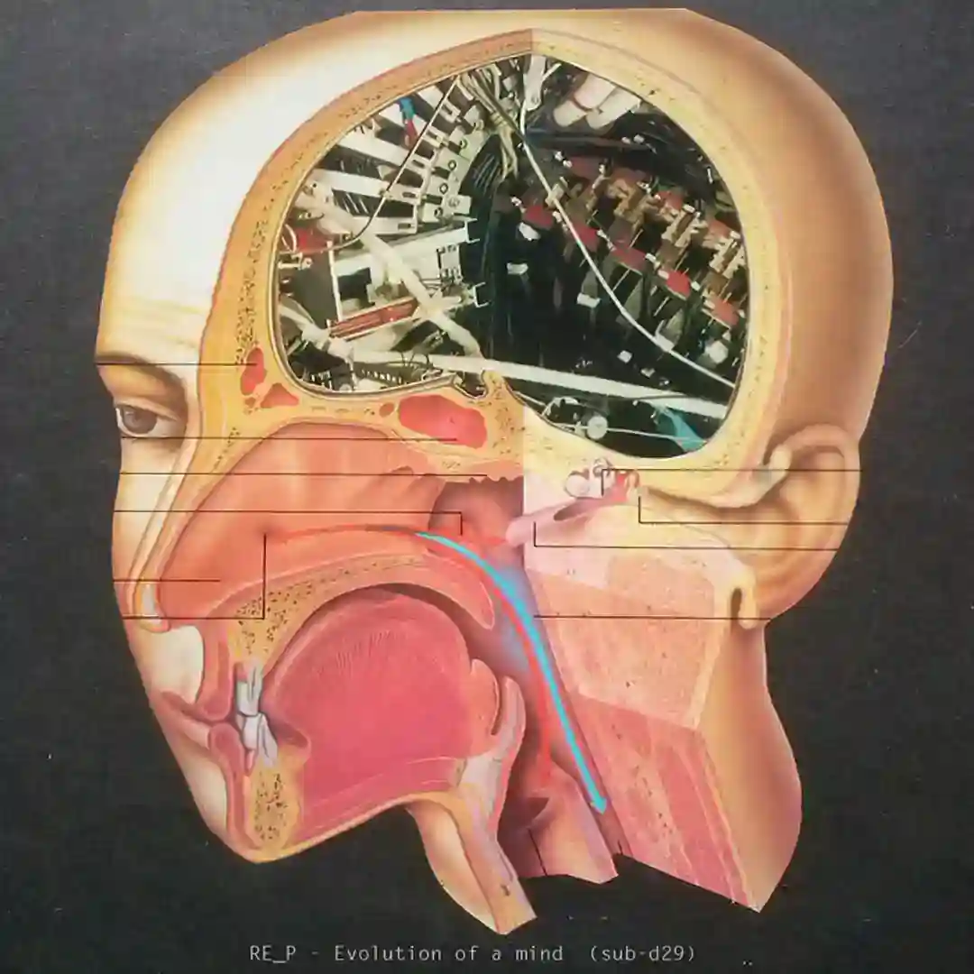 Irrational drives are unconscious cover