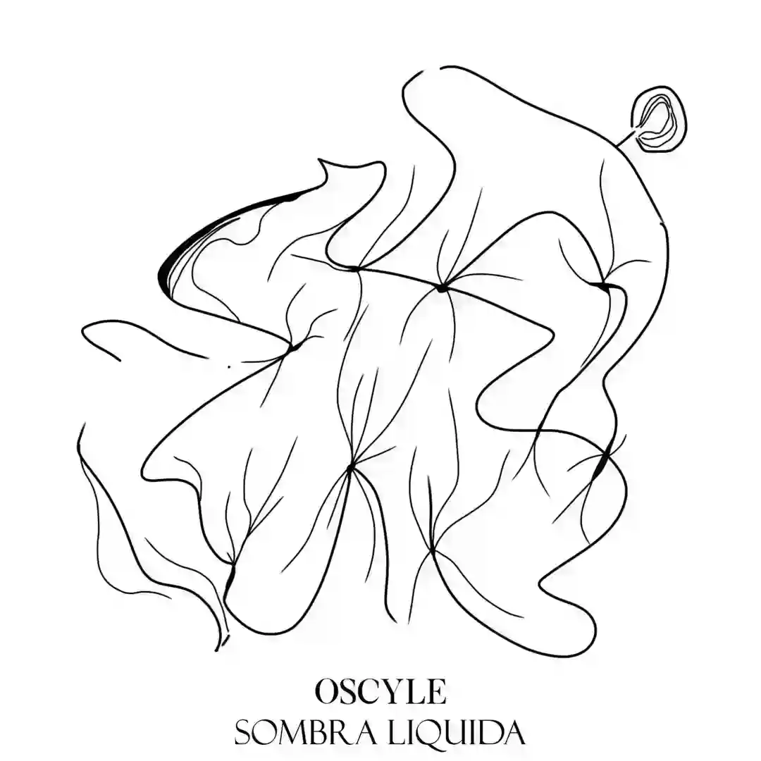 Conceptual (Original Mix) cover