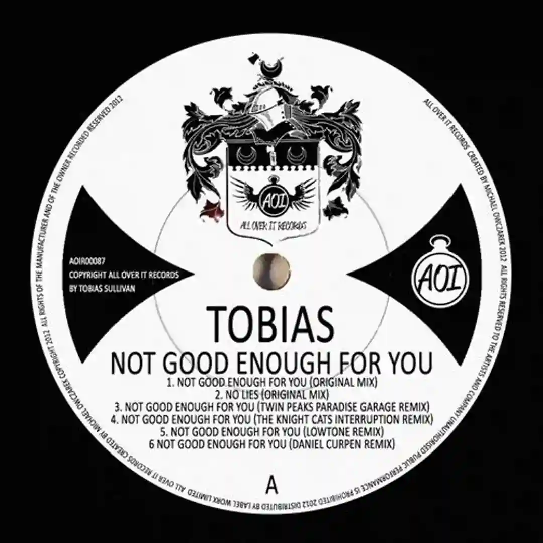 Not Good Enough For You (Lowtone Remix) cover