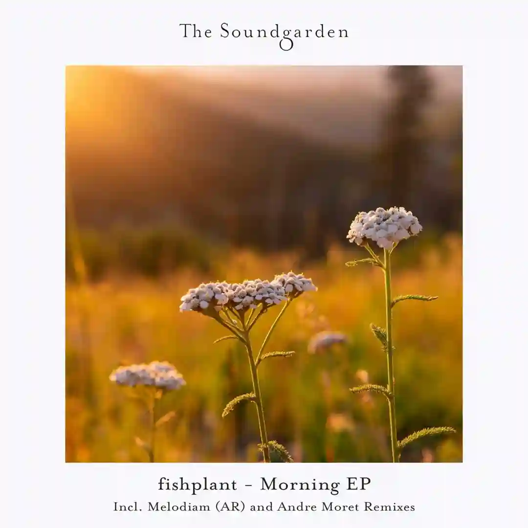 Morning EP cover