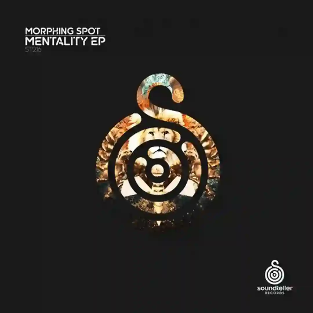 False Promise (Original Mix) cover